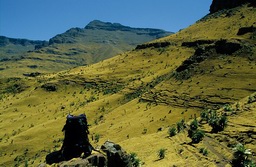 Ostafrika, thiopien: Vom Abessinischen Hochland in die Wste Danakil - Die semien-Berge