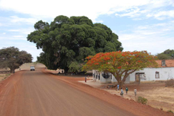 Sdliches Afrika: Angola - Angola Pionierexpedition - Buschpiste