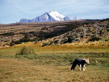 Sdamerika, Chile: Feuerland & Patagonien - Weites Patagonien