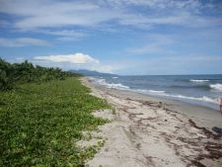 Sdamerika - Kolumbien: Expedition in die verlorene Stadt - Im Tayrona Nationalpark