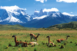 Südamerika, Chile - Argentinien: Patagonien - Bergkulisse