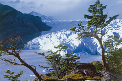 Südamerika, Chile - Argentinien: Patagonien - Wilde Landschaft Patagoniens