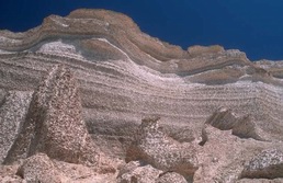 Arabische Halbinsel, Oman: Expedition Wstengebirge – Dhofar – Rub al-Khali und Oasen - Canyon Shuwaymiyah 