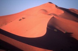 Arabische Halbinsel, Oman: Expedition Wstengebirge – Dhofar – Rub al-Khali und Oasen - Dne der Rub al Khali