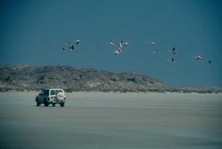 Arabische Halbinsel, Oman: Expedition Wstengebirge – Dhofar – Rub al-Khali und Oasen - Strandfahrt am Arabischen Meer