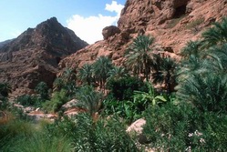 Arabische Halbinsel, Oman: Expedition Wstengebirge – Dhofar – Rub al-Khali und Oasen - Wadi im Hajargebirge