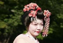Ostasien, Japan: Makaken, Geishas und Fujisan - Geisha