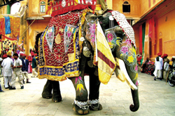 Sdliches Asien, Indien: Zauberhaftes Rajasthan - Elefantenfest in Jaipur
