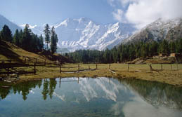 Sdasien, Pakistan: Farbenpracht und Vielfalt zu Fen des Karakorum - Nanga Parbat Bergkulisse