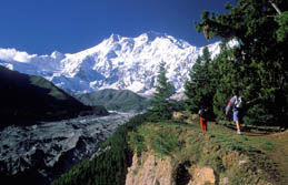 Sdasien, Pakistan: Farbenpracht und Vielfalt zu Fen des Karakorum - Nanga Parbat Wanderung