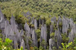 Sdostasien: Malaysia / Borneo - Sinfonie tropischer Grntne 