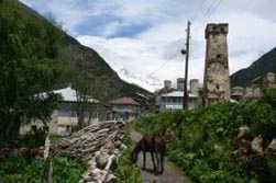 Vorderasien, Georgien: Swanetien - Wandern in Swanetien und der Kasbek-Region - Kleines Dorf Uschgul