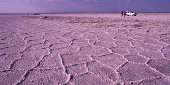 Iran: Expedition Dasht-e Kavir - Salzringmuster in der Dasht-e Kavir- Wste