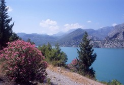 Vorderasien - Trkei: Kappadokien und Taurusgebirge - Oleanderweg am Manavgat Stausee