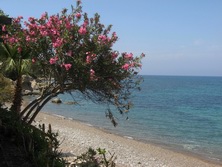 Vorderasien - Zypern: Aphrodite, Troodos & Meer - Am Strand von Sdzypern