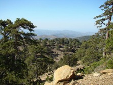Vorderasien - Zypern: Aphrodite, Troodos & Meer - Landschaft in Sdzypern