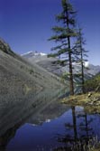 Kirgistan: Auf Merzbachers Spuren im Himmelsgebirge - Trekking - Gespiegelter Berghang und Baum