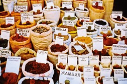 Zentralasien, Kirgistan: Zwischen Issyk Kul und Tienschan - Basar