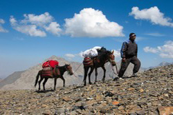 Zentralasien, Kirgistan: Zwischen Issyk Kul und Tienschan - Sherpa mit Pferden