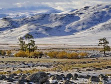Zentralasien, Mongolei: Altai Gebirge - Fantastische Landschaft Zentralasiens