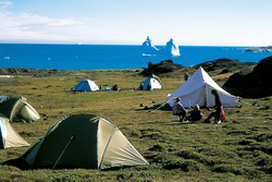 Nordeuropa, Grnland: Inuit, Eisberge und Nordlichter - Zeltlager