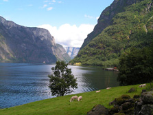 Nordeuropa, Norwegen: Norwegen i hytta - Schlucht