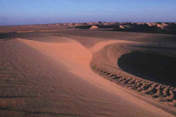 Ostsahara, Sudan: Bayuda- und Nubien-Expeditionen - Dnenlandschaft in der Bayuda Wste
