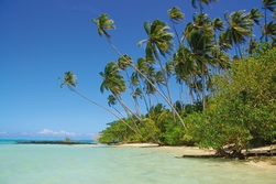Ozeanien, Australien: Impression aus Samoa Fiji und Tonga