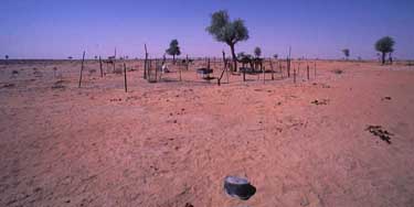 Arabische Halbinsel, Orient, Oman: Rub-al Khali - Expedition ins "Leere Viertel" 