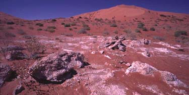 Arabische Halbinsel, Orient, Oman: Rub-al Khali - Expedition ins "Leere Viertel" 