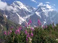 Kaukasien, Russland: Bergparadies Kakasus - Blumenlandschaft vor dem Dongus Orun