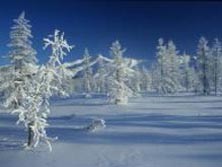 Russland: Expedition in die unberhrte Welt Jakutiens -  Winterliche Farbenpracht