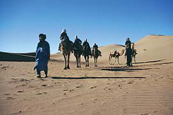 Afrika, Westsahara: Marokko - Oasen am Jebel Saghro & Dnen im Draa-Tal - Kameltrek