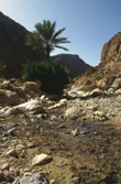Afrika, Westsahara: Marokko - Oasen am Jebel Saghro & Dnen im Draa-Tal - Landschaftsbild