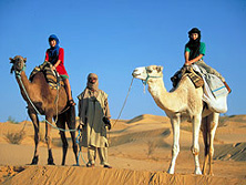 Kameltouren / Meharees, Tunesien: Meharee im Dnenmeer